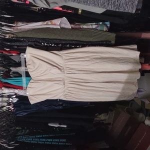 Express Dress LG
